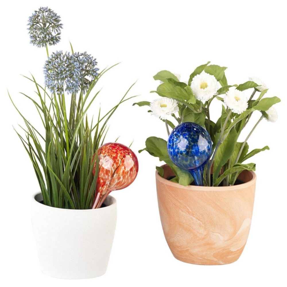 15627b120824 Gießfreie Bewässerungskugeln 2er-Set – handgeblasene Glas-Stäbe, 4x Ø6cm (je 75ml), bunt, bis zu 14 Tage Pflanzenbewässerung