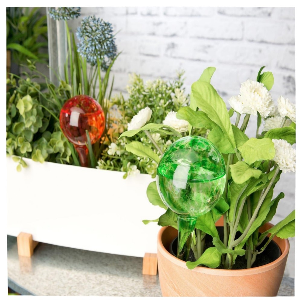 19ea3dc83405 Gießfreie Bewässerungskugeln 2er-Set – handgeblasene Glas-Stäbe, 4x Ø6cm (je 75ml), bunt, bis zu 14 Tage Pflanzenbewässerung